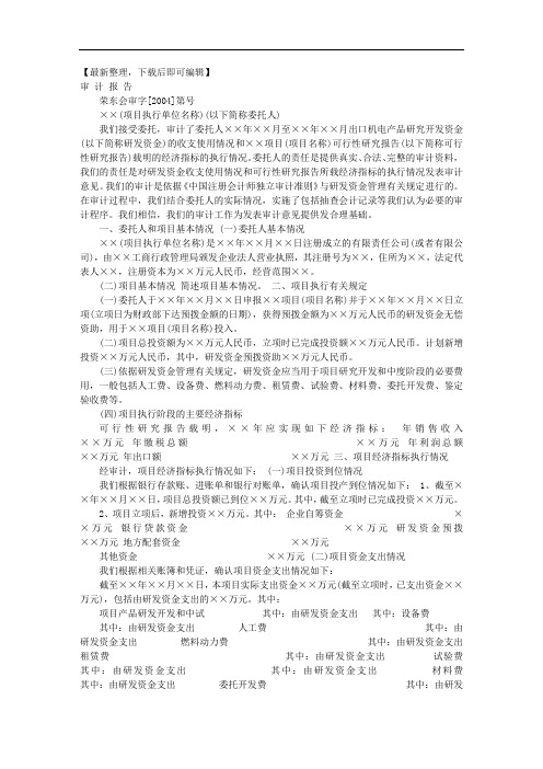 项目投资审计报告(完整资料).doc