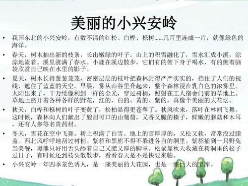 《白桦林的低语》课件艳清