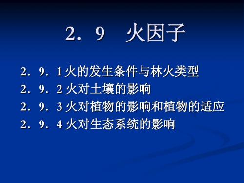 2-9 火因子