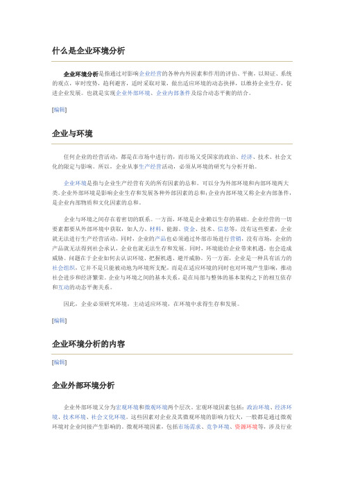 (环境管理)企业环境分析