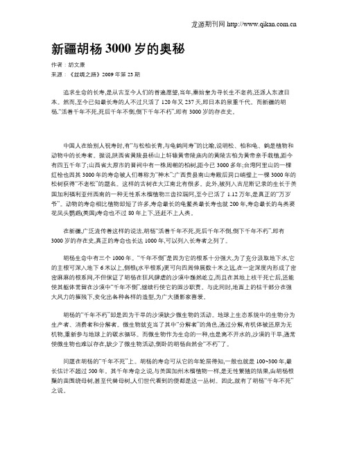 新疆胡杨3000岁的奥秘