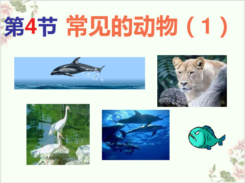 七年级上科学_常见的动物_ppt浙教版6