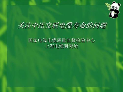 交联电力电缆制造质量状况调查分析
