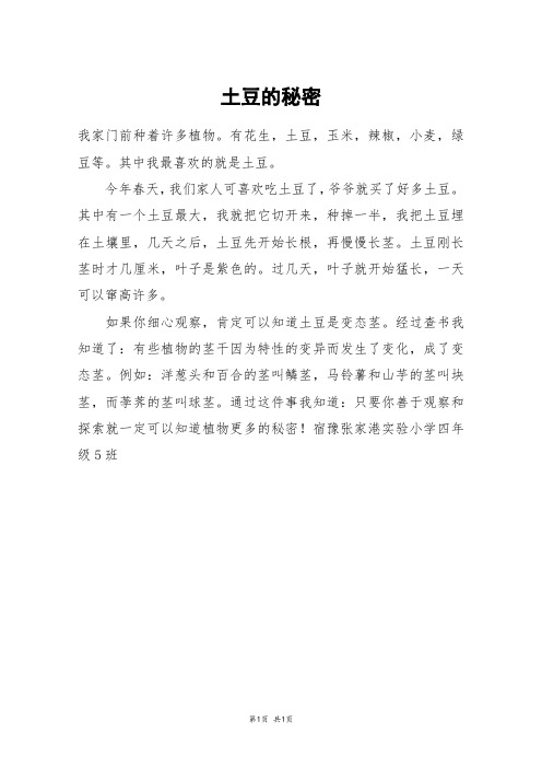 土豆的秘密_三年级作文