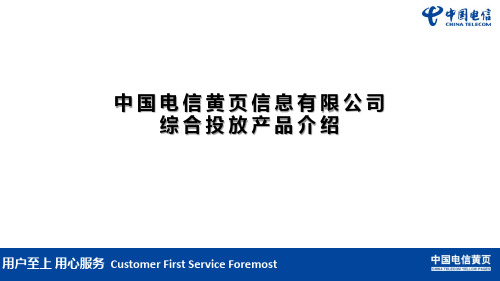 中国电信DSP介绍