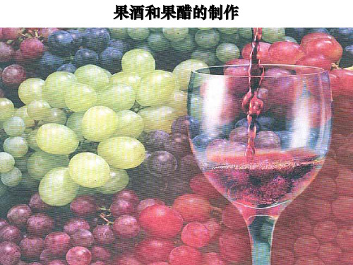 苏教版高中生物选修一 边做边学 水果的发酵加工-果汁发酵制作果酒和果醋 (5)(共19张PPT)