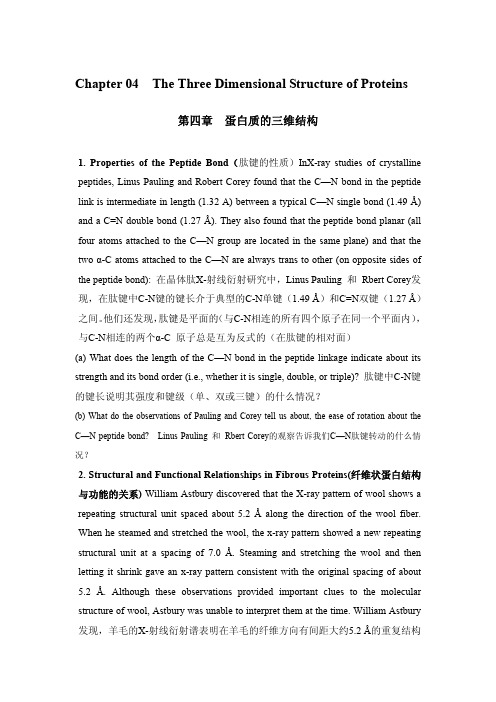 蛋白质的三维结构