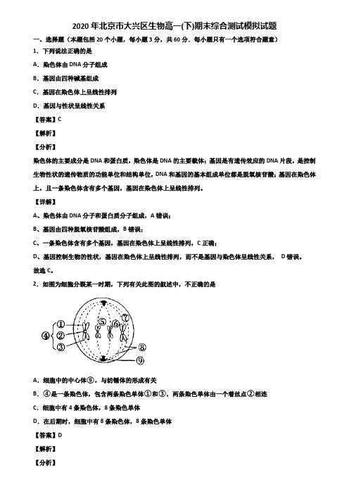 2020年北京市大兴区生物高一(下)期末综合测试模拟试题含解析