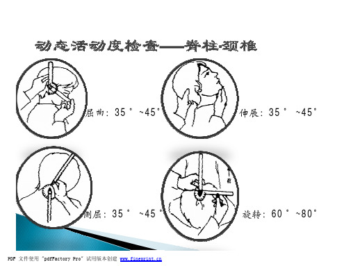 体态评估—1