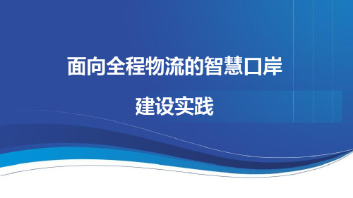 面向全程物流的智慧口岸建设实践概述