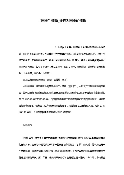 “国宝”植物_被称为国宝的植物