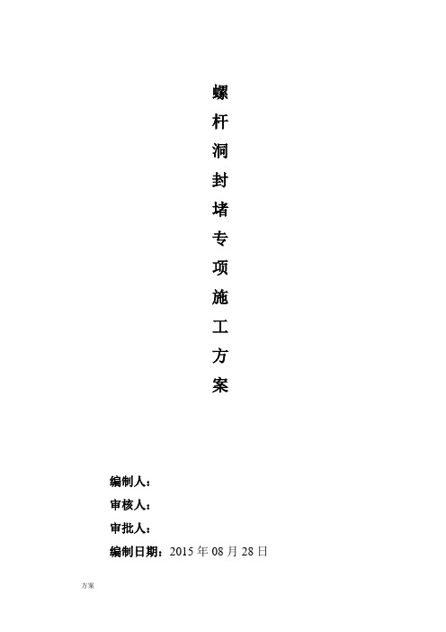 螺杆洞封堵专项施工的解决方案.doc