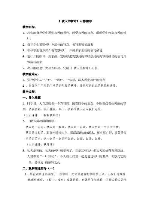 秋天的树叶