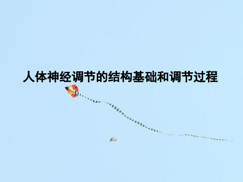 人体神经调节的结构基础和调节过程PPT教学课件