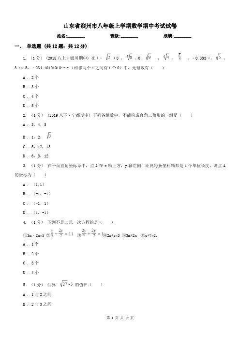 山东省滨州市八年级上学期数学期中考试试卷