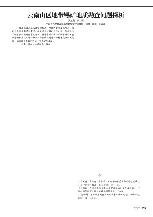 云南山区地带锡矿地质勘查问题探析