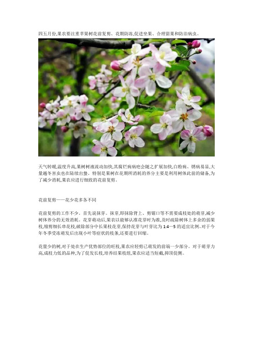 5月份苹果管理,招数要多而不乱!