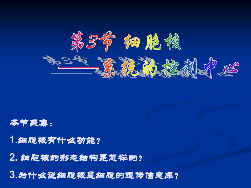 第3节_细胞核——系统的控制中心