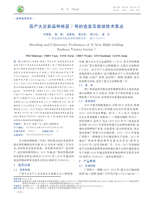 高产大豆新品种桂夏7号的选育及栽培技术要点
