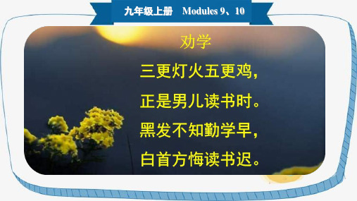 2021年中考英语(外研版)一轮复习课件-九年级上册 Modules 9、10(24张PPT)