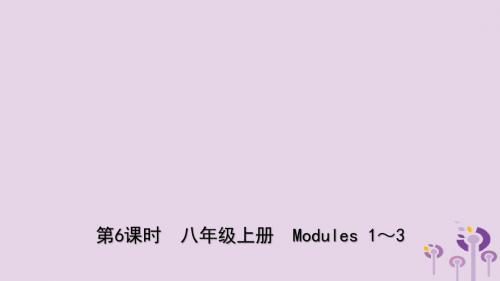 山东省德州市2019年中考英语总复习第6课时八上Modules1_3课件