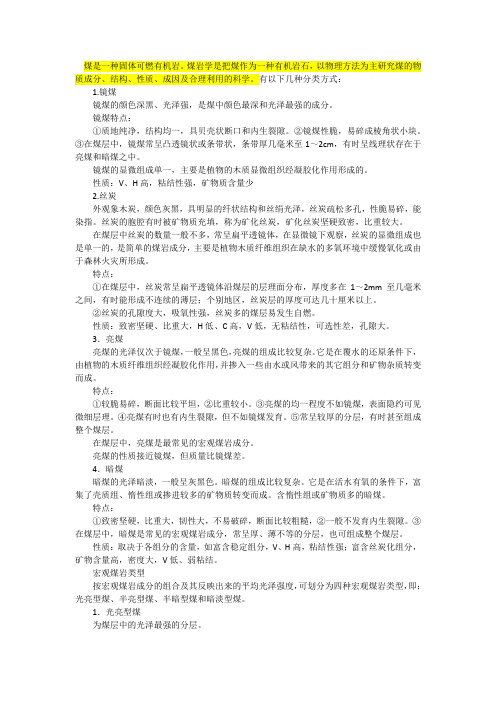 煤岩分析