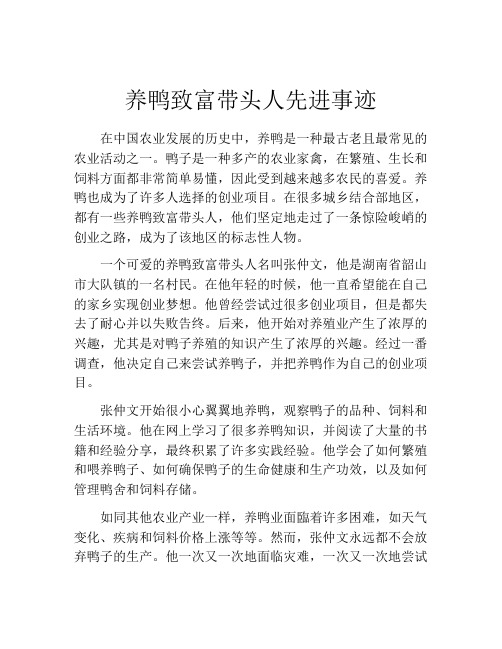 养鸭致富带头人先进事迹