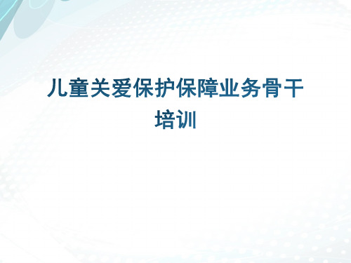儿童督导员、儿童主任业务培训 PPT课件