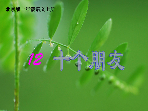 十个朋友PPT教学课件