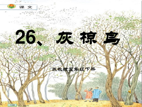 小学语文_灰椋鸟第一课时——语文——小学——姚兰英教学课件设计
