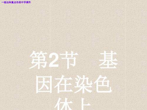 必修二高中生物第2章基因和染色体的关系2.2基因在染色体上课件新人教版课件