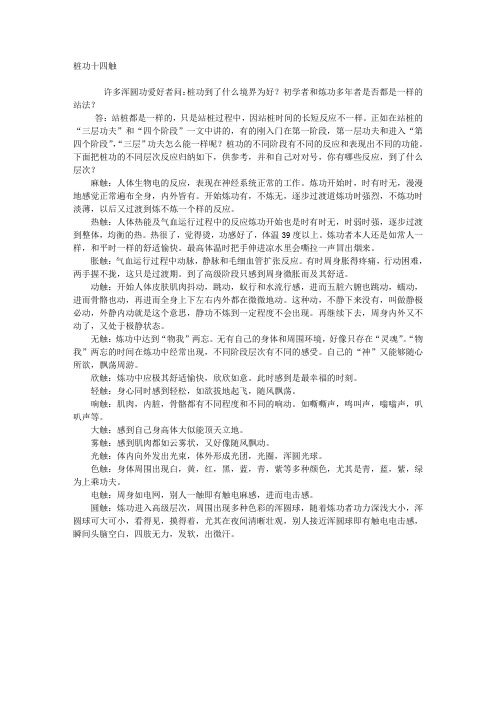 桩功十四触