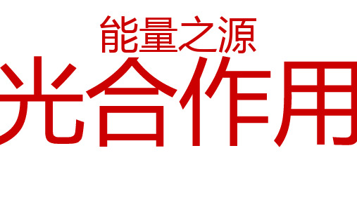 光合作用【4】光合作用的影响因素