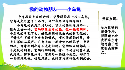 部编版四年级语文下册范文2：我的动物朋友——小乌龟优质课件.pptx