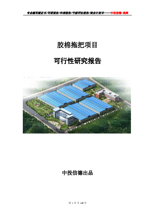 胶棉拖把项目可行性研究报告项目建议书
