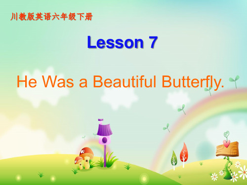 六年级英语lesson 7 He was a beautiful  butterfly!优秀课件
