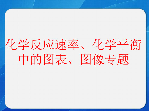 速率平衡图像专题[文字可编辑]