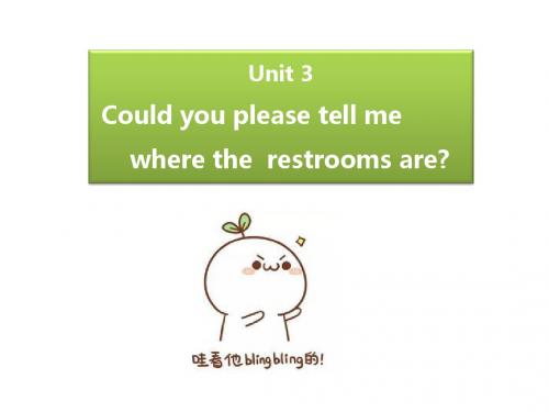 人教版九年级Unit3词性词汇及词组解析(24张PPT)