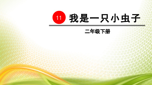 《我是一只小虫子》PPT[优秀课件]