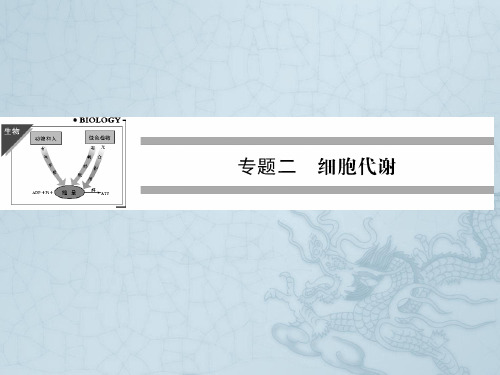 高考生物二轮专题突破课件第4讲 酶与ATP(47张PPT)