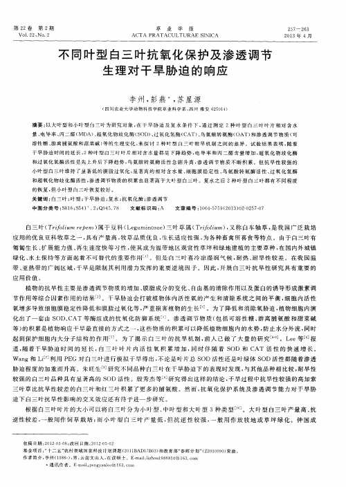 不同叶型白三叶抗氧化保护及渗透调节生理对干旱胁迫的响应