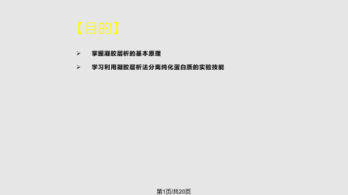 凝胶层析法分离纯化蛋白质PPT课件