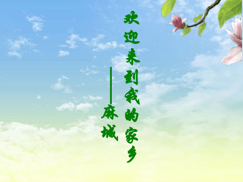 家乡麻城展示