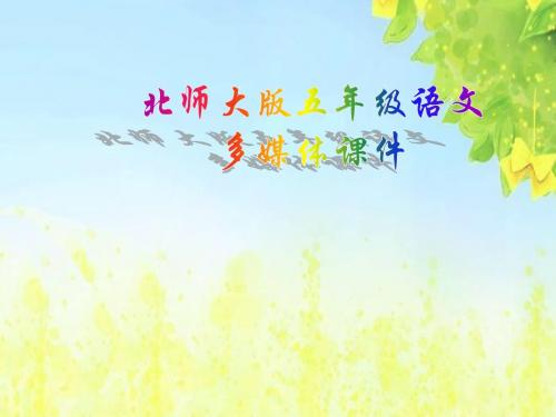 小学五年级下学期语文《阅读大地的徐霞客》PPT课件PPT、优质教学课件