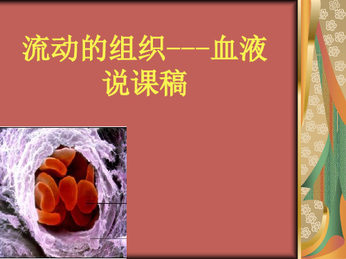 流动的组织-血液说课稿.