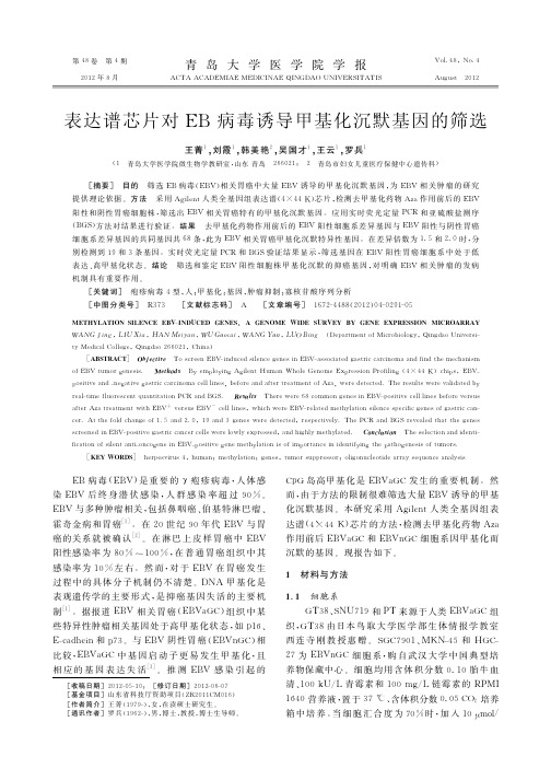 表达谱芯片对EB病毒诱导甲基化沉默基因的筛选