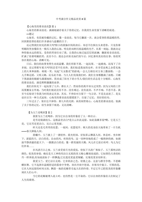 中考满分作文精品欣赏6篇