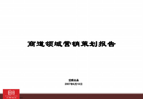 世联-南昌商道领域项目营销策划报告-139页