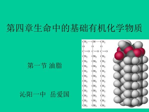 油脂___人教版选修5第四章第一节