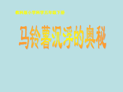五年级下册科学课件-1.8 马铃薯沉浮的奥秘｜教科版(共11张PPT)